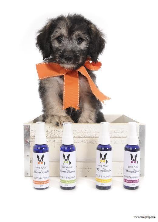 Wet Kiss Dog Cologne By Warren London - 2 Oz or 16 Oz - Image 3