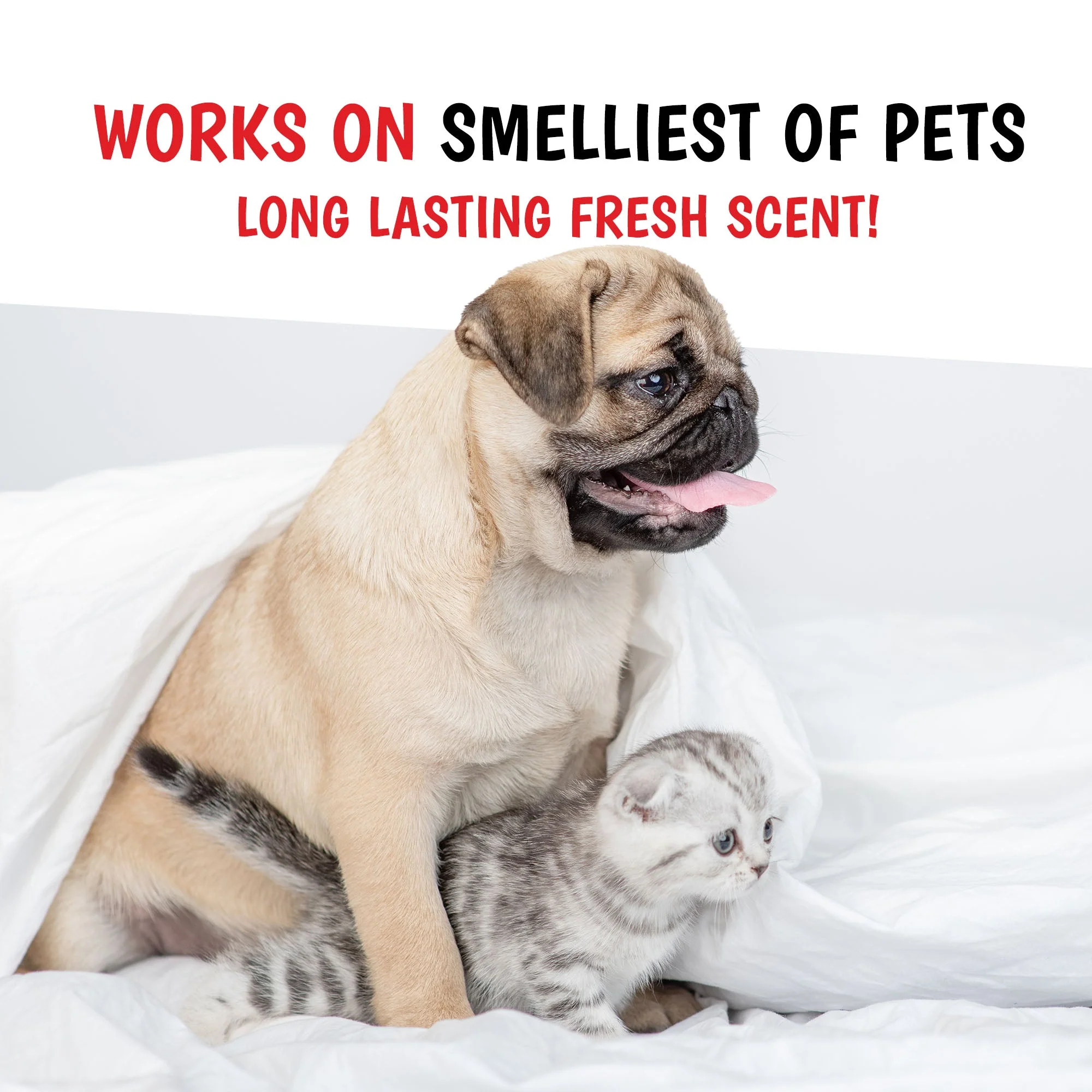Wet Kiss Dog Cologne By Warren London - 2 Oz or 16 Oz - Image 9