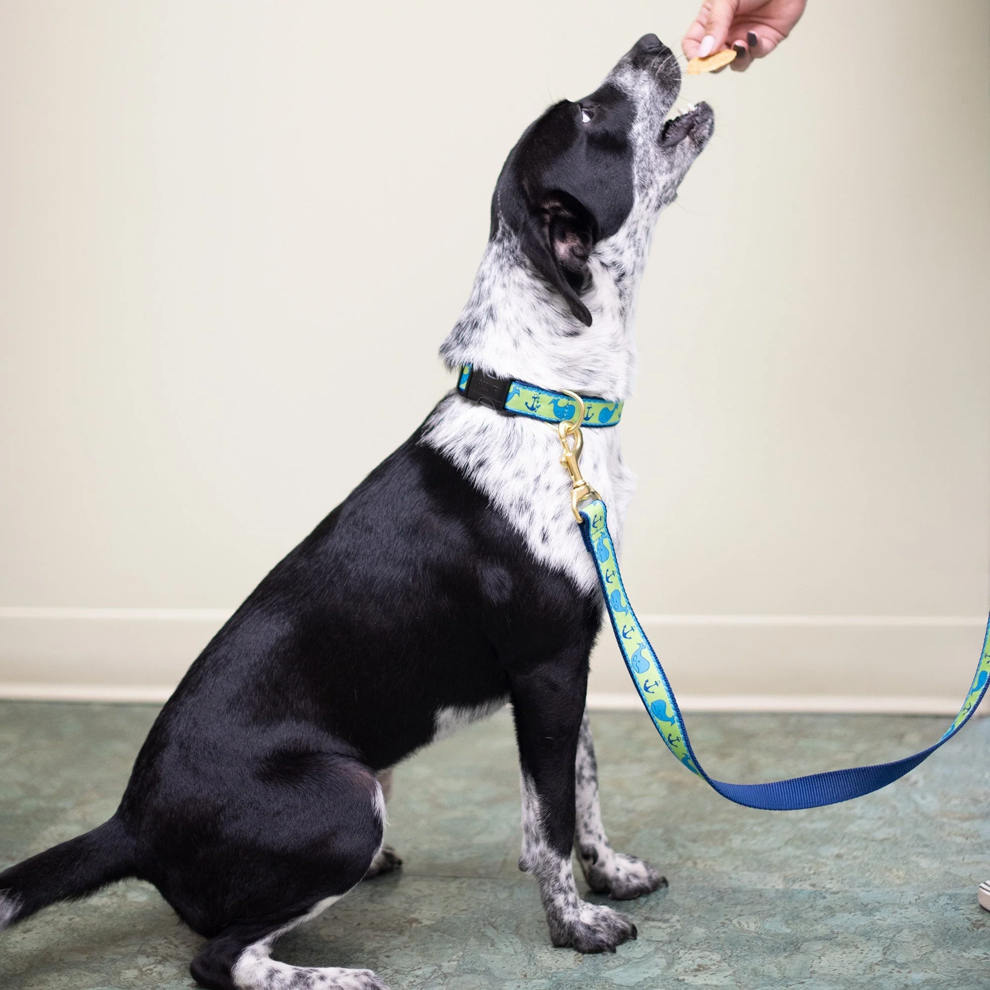 Up Country Whale Cast Brass Dog Leash - Image 2