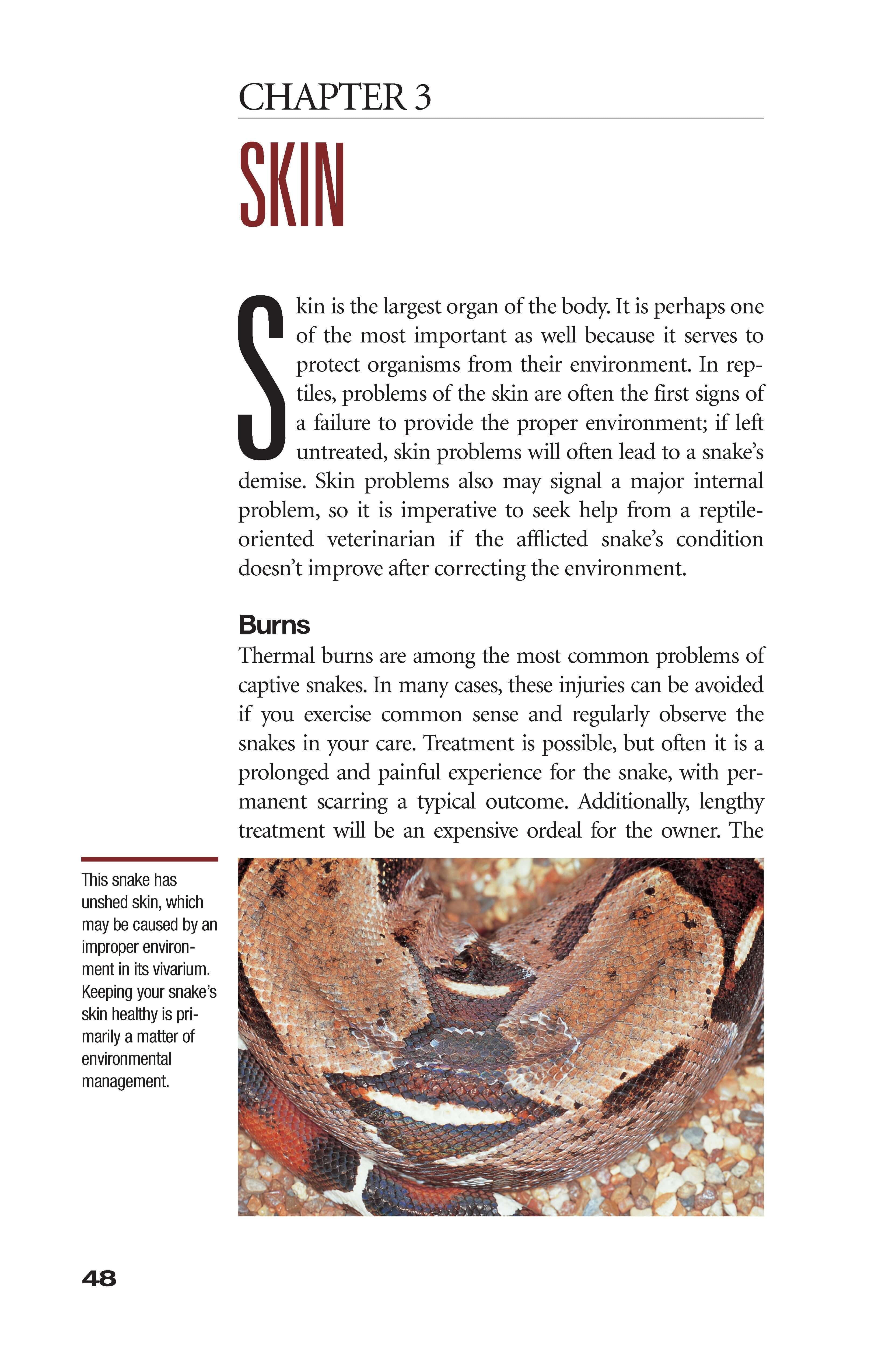 What's Wrong With My Snake? (advanced Vivarium Systems) - Image 2