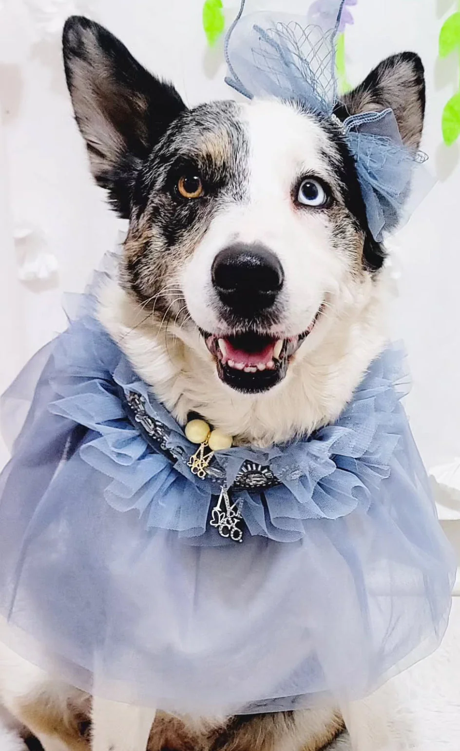 Whimsical Wedding: Frozen - Image 8