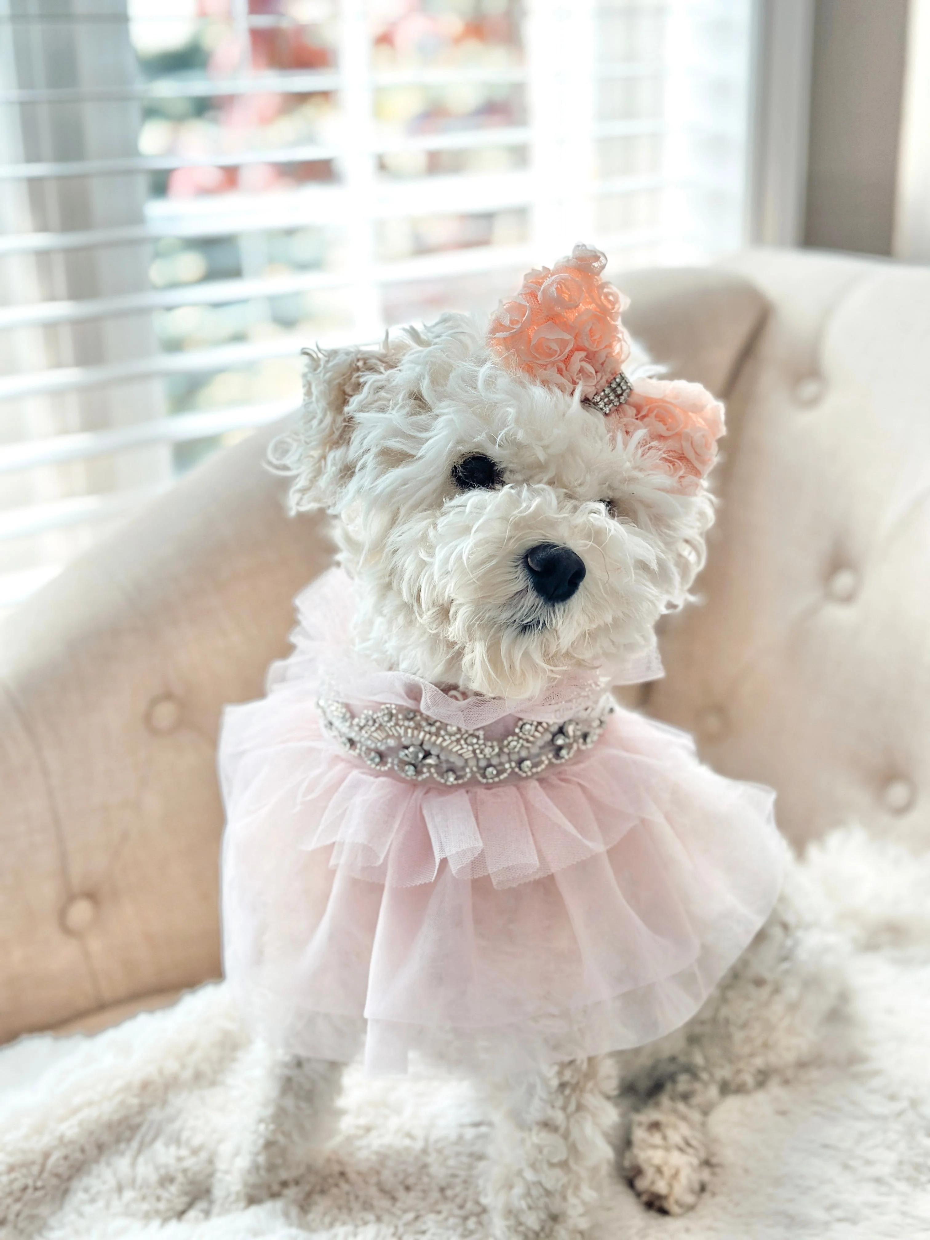 Whimsical Wedding: J’Adore - Image 2