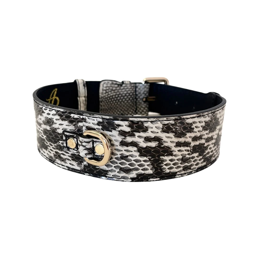 White & Black Classic Snake Collar - Image 2