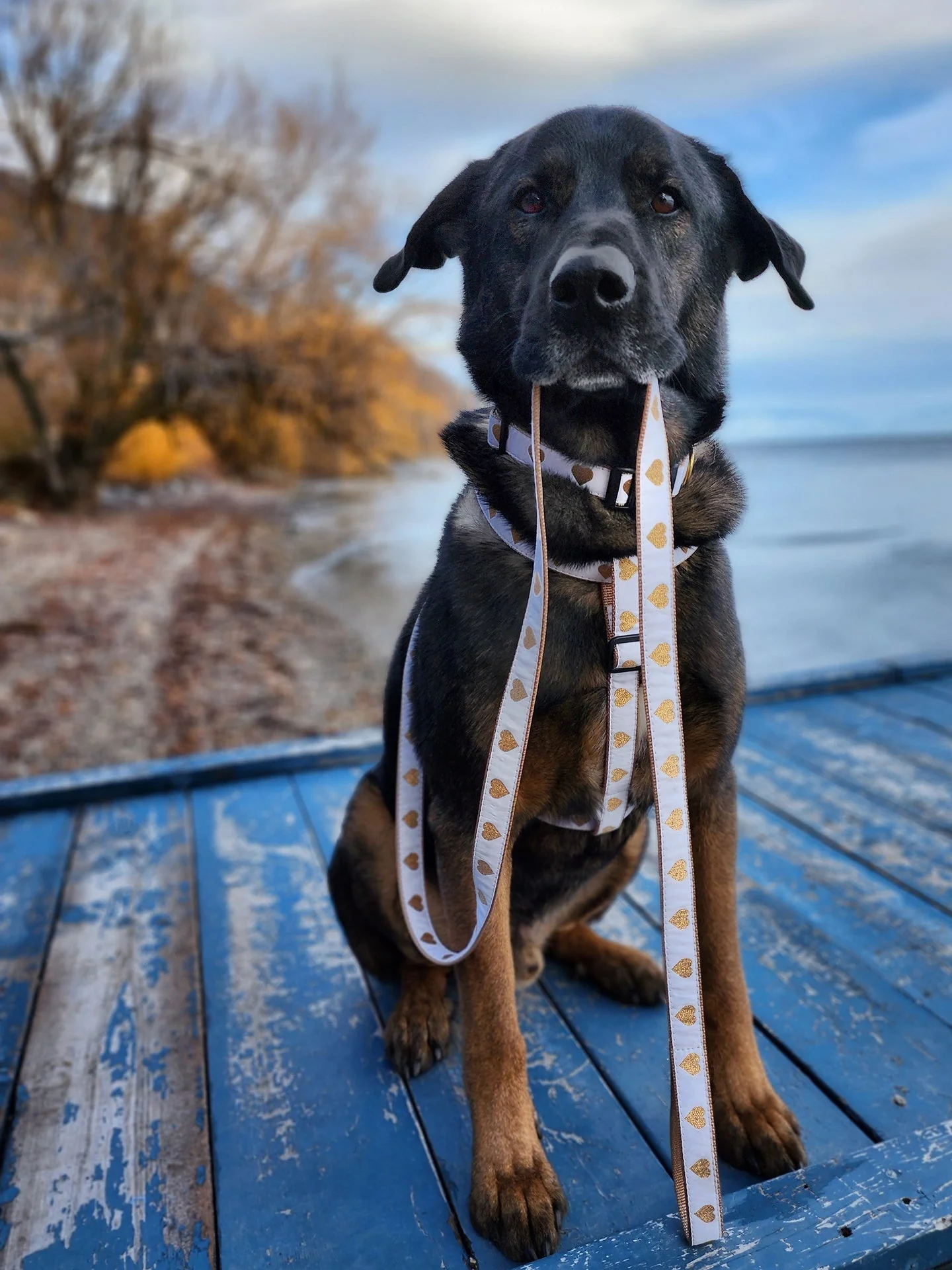 Up Country White Heart of Gold Cast Brass Dog Leash - Image 2