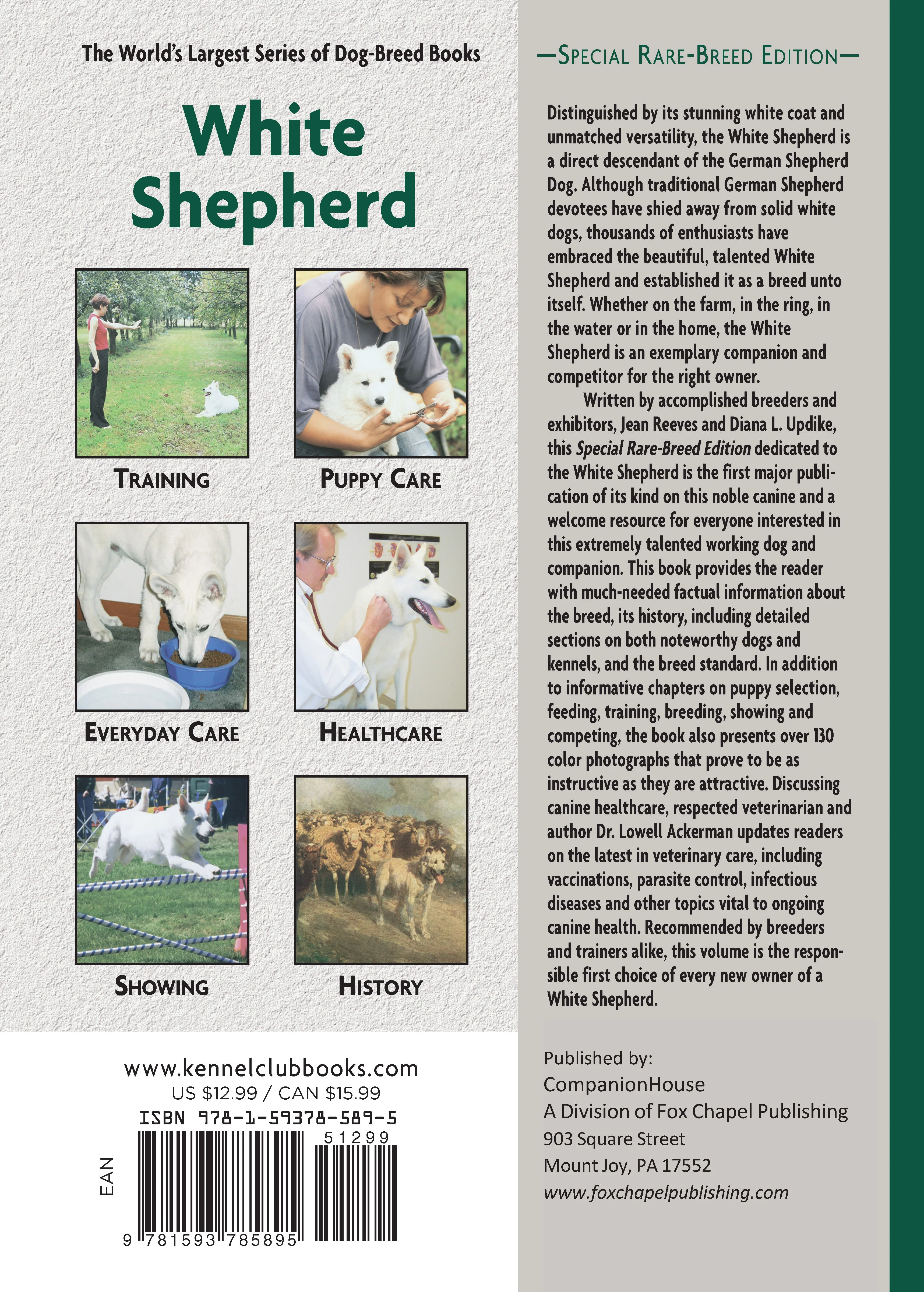 White Shepherd - Image 7