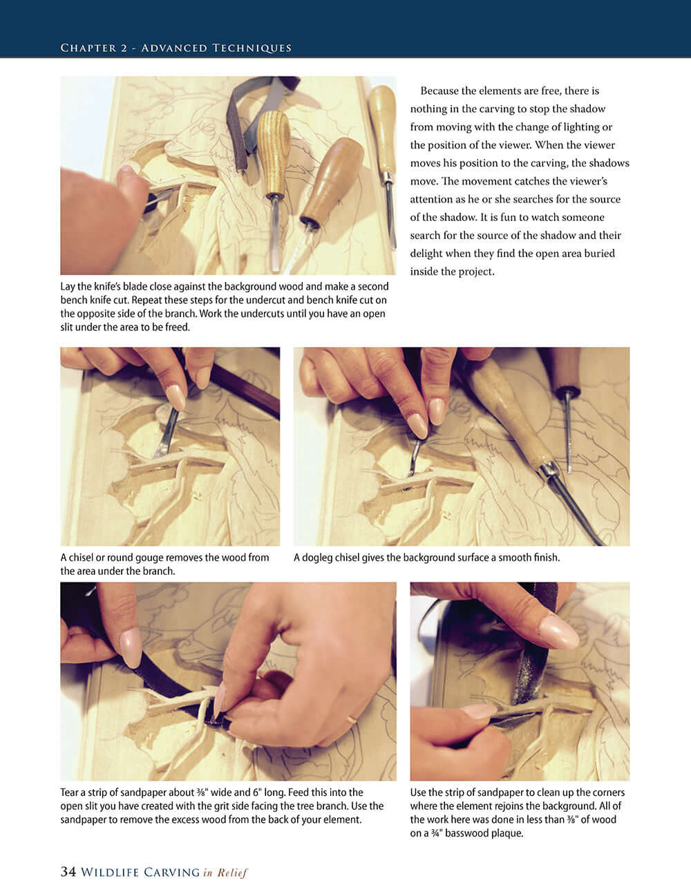 Wildlife Carving in Relief, Second Edition Revised and Expanded - Image 2
