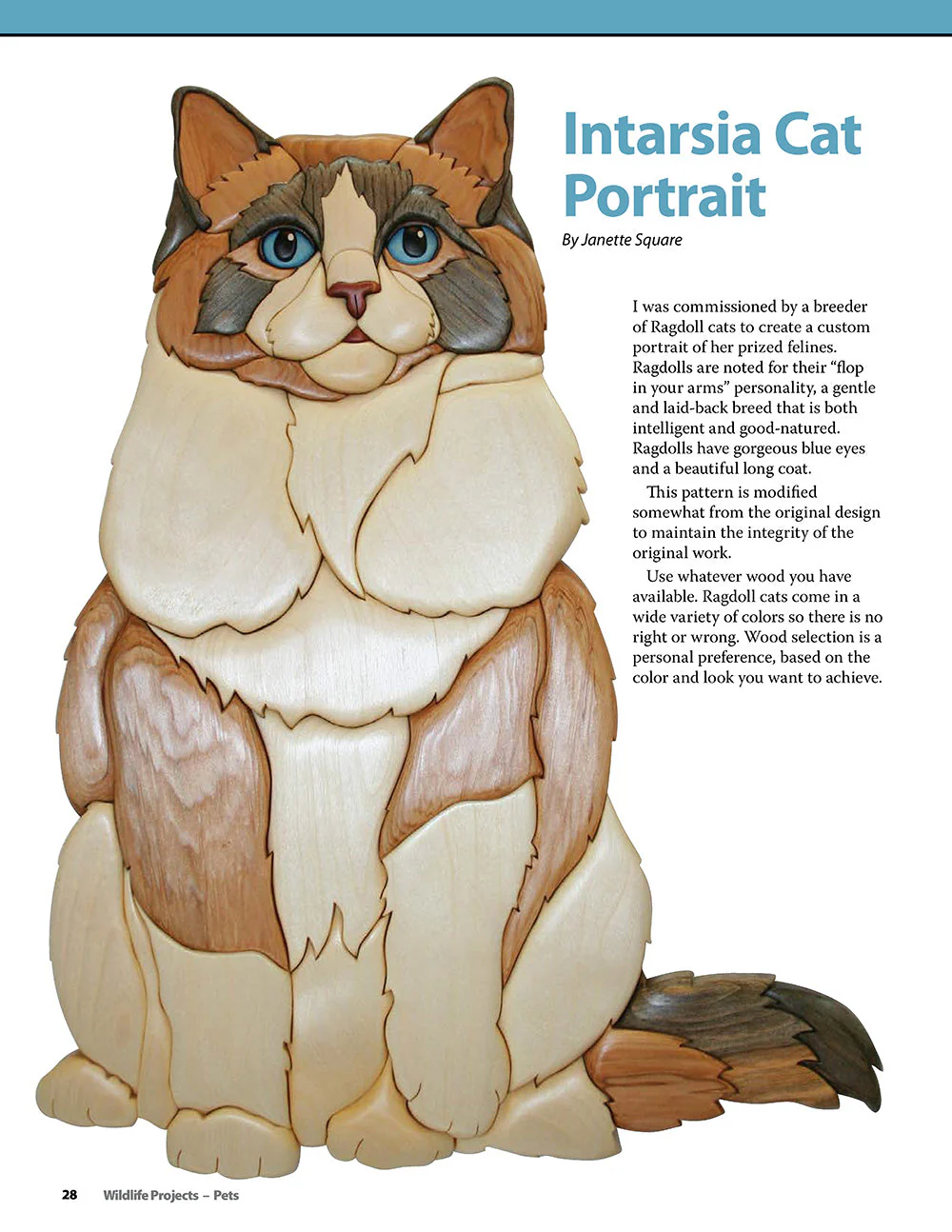 Wildlife Projects - Image 5