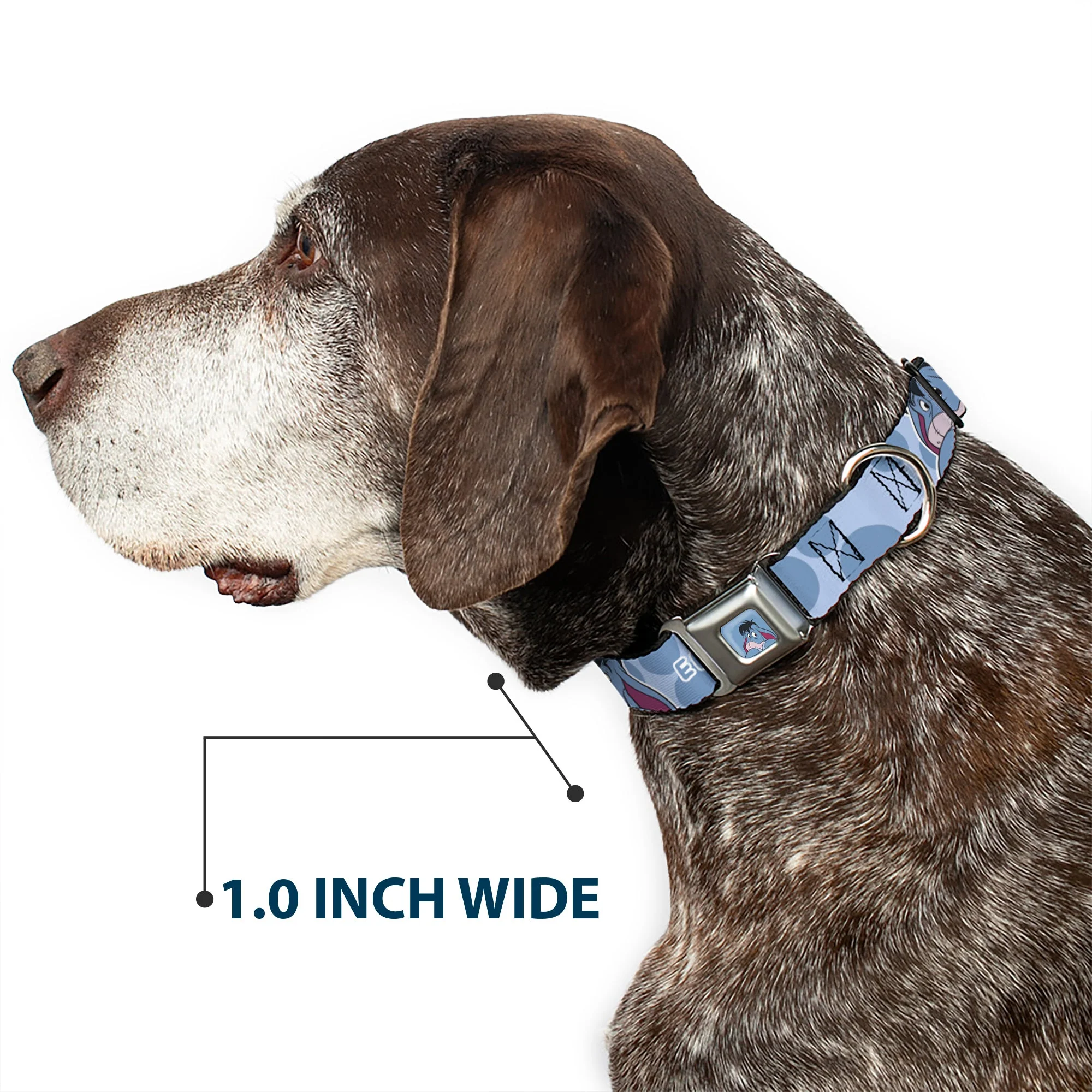 Winnie the Pooh Eeyore Expression Close-Up Blue Seatbelt Buckle Collar - Winnie the Pooh Eeyore Text and Expression Close-Up Dot Blues - Image 6