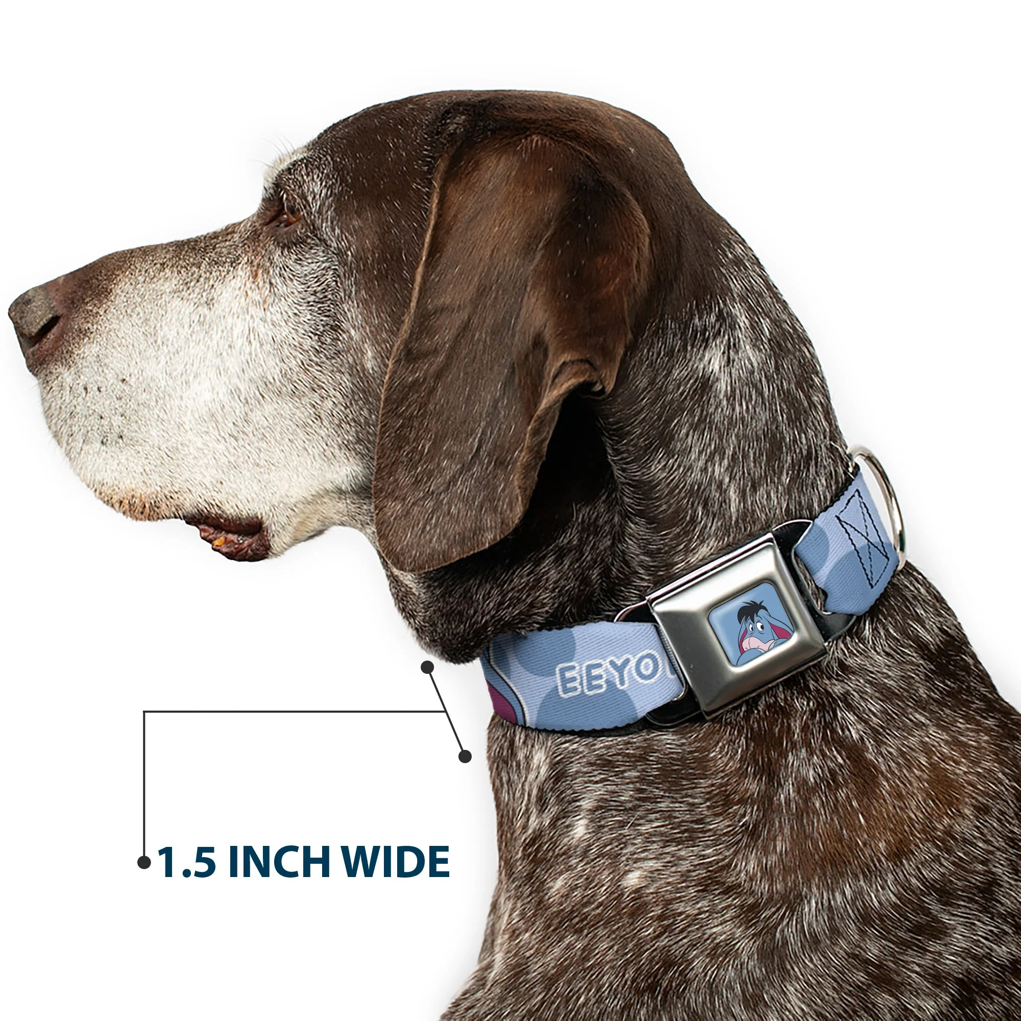 Winnie the Pooh Eeyore Expression Close-Up Blue Seatbelt Buckle Collar - Winnie the Pooh Eeyore Text and Expression Close-Up Dot Blues - Image 7