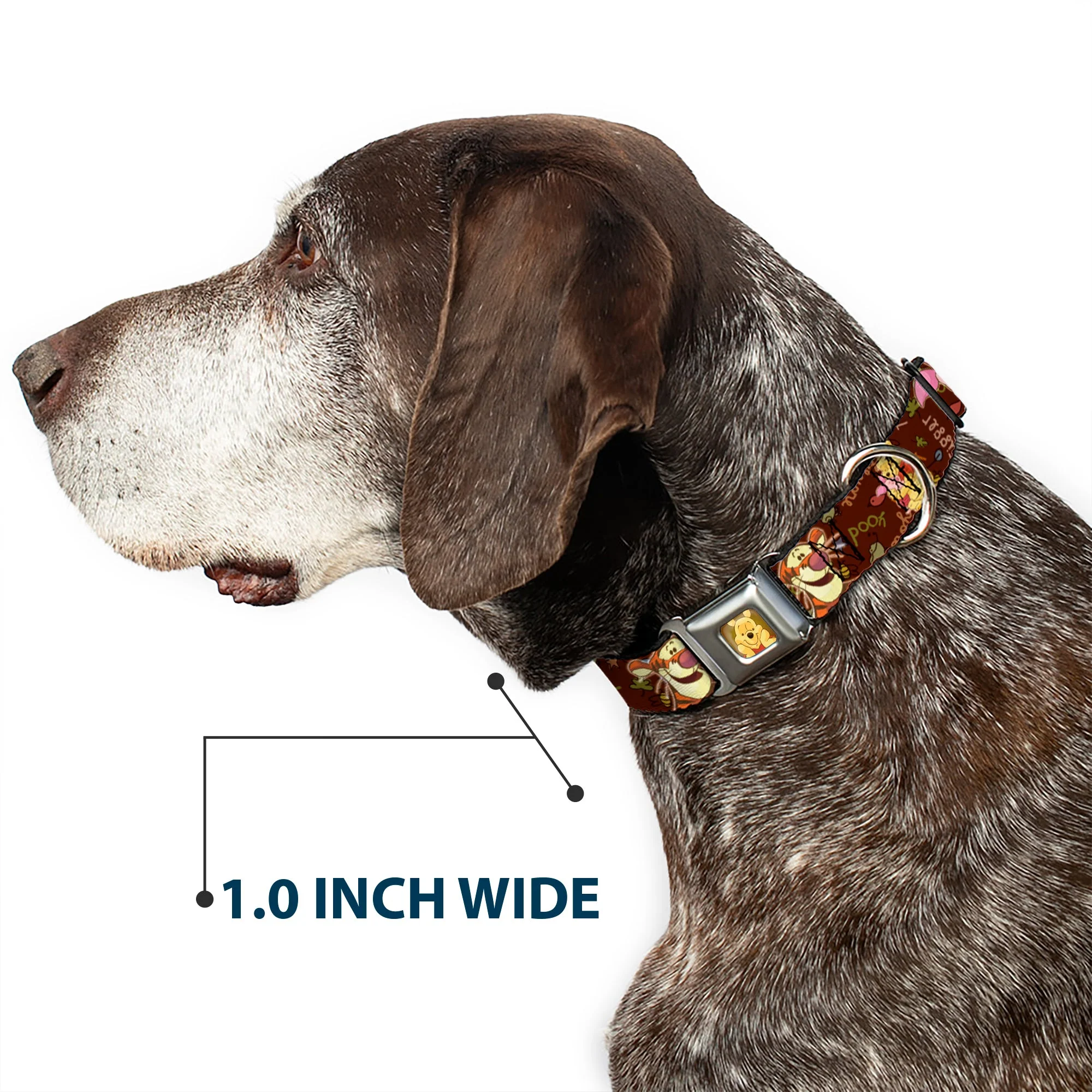 Winnie the Pooh Face Full Color Radial Brown Fade Seatbelt Buckle Collar - Winnie the Pooh Character Poses - Image 6