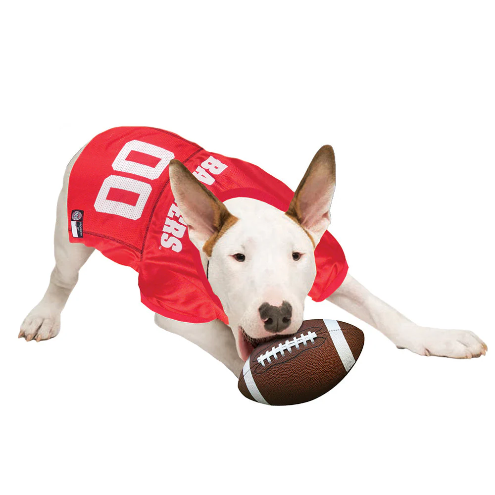 Wisconsin Dog Jersey - Image 3