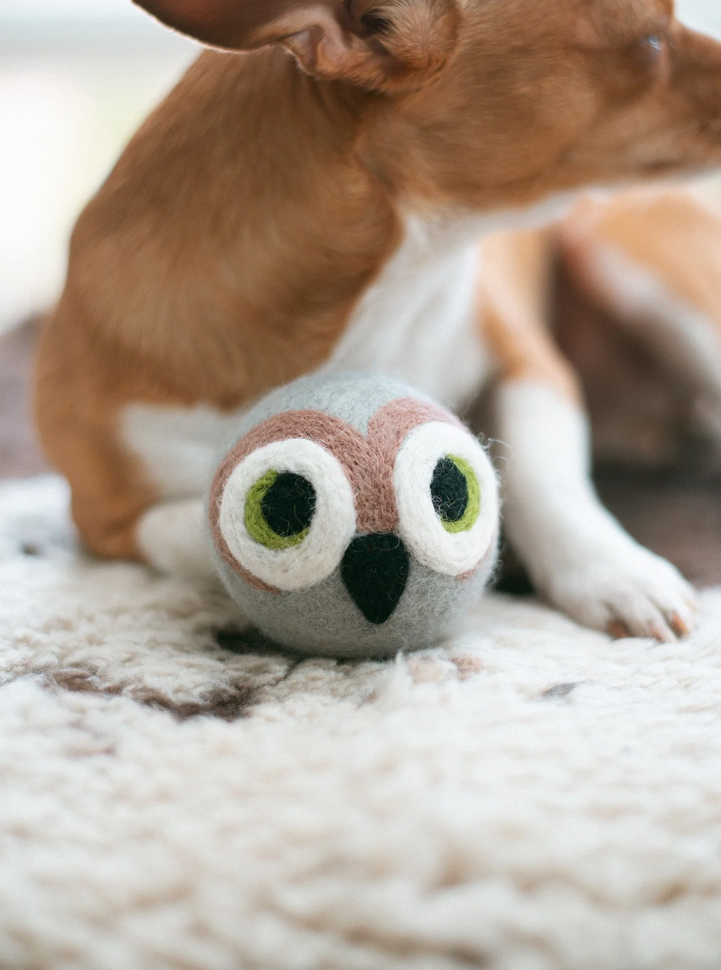 WISE OLD OWL BEASTBALL - Image 5