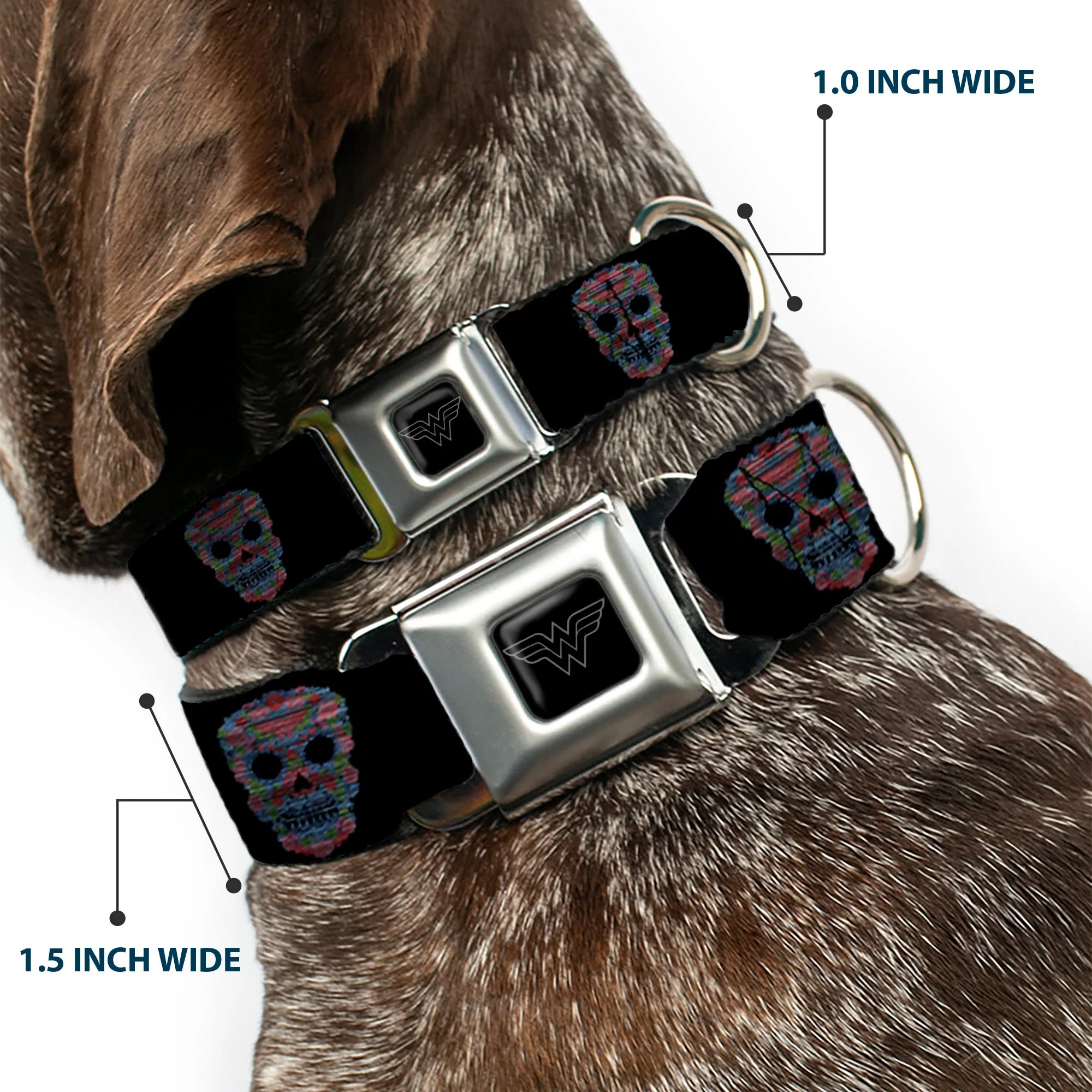 Wonder Woman Black Silver Seatbelt Buckle Collar - Wonder Woman Floral Skull Black/Multi Pastel - Image 2