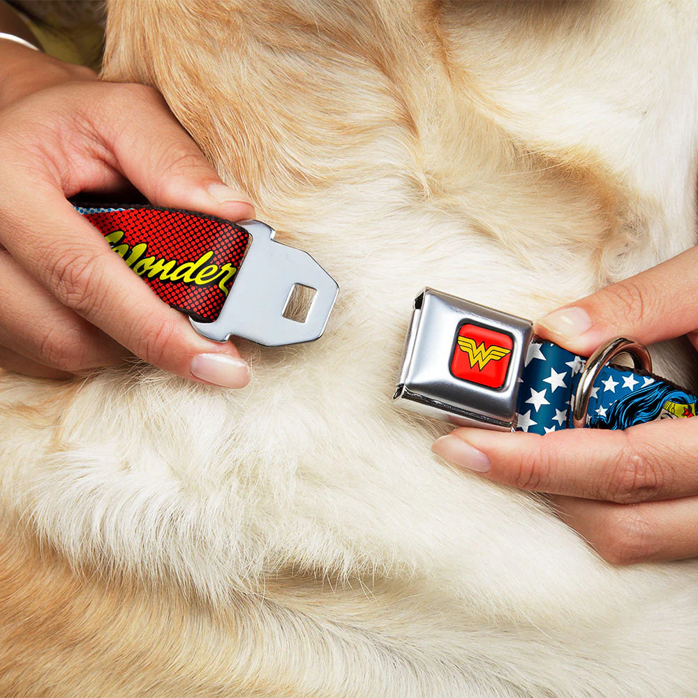 Wonder Woman Logo Full Color Red Seatbelt Buckle Collar - Wonder Woman Face w/Stars - Image 8