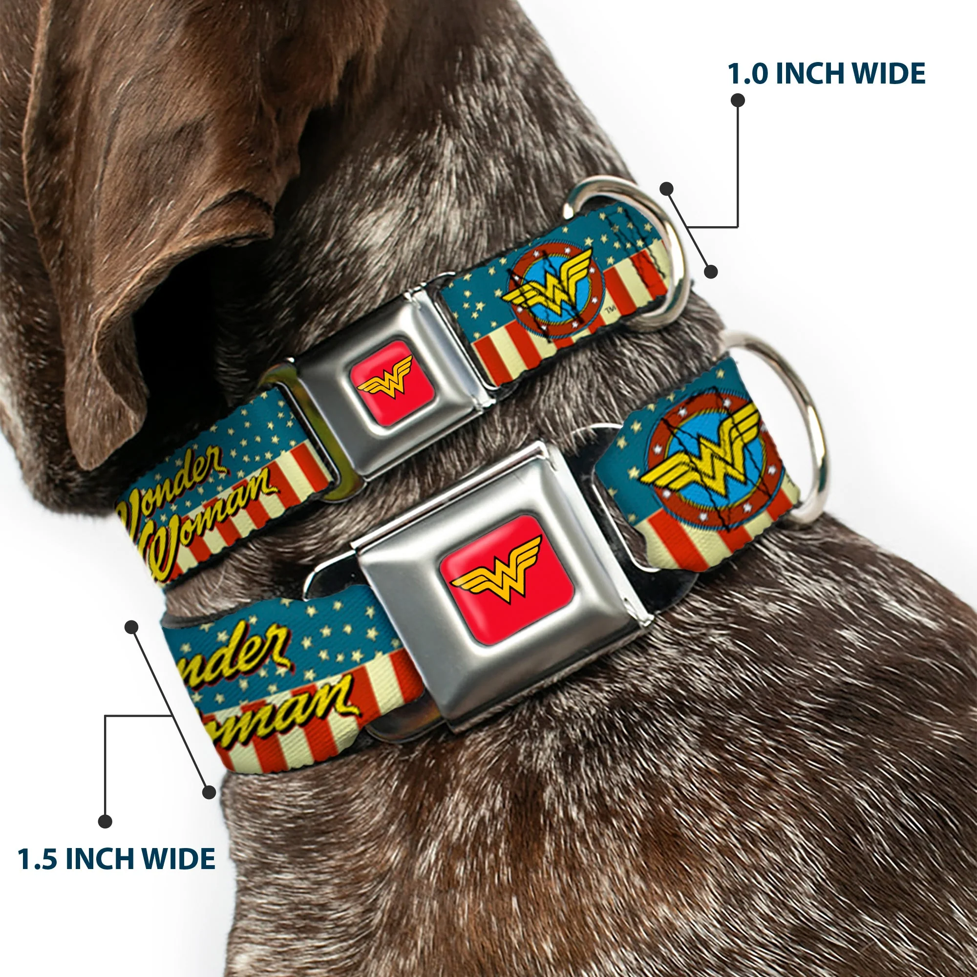 Wonder Woman Logo Full Color Red Seatbelt Buckle Collar - WONDER WOMAN/Logo Americana Red/White/Blue/Yellow - Image 2