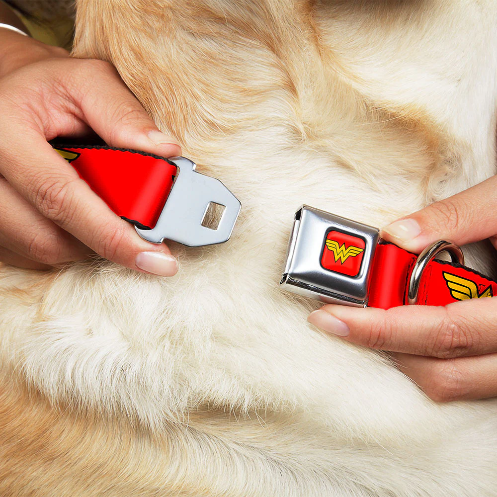 Wonder Woman Logo Full Color Red Seatbelt Buckle Collar - Wonder Woman Logo Red - Image 8