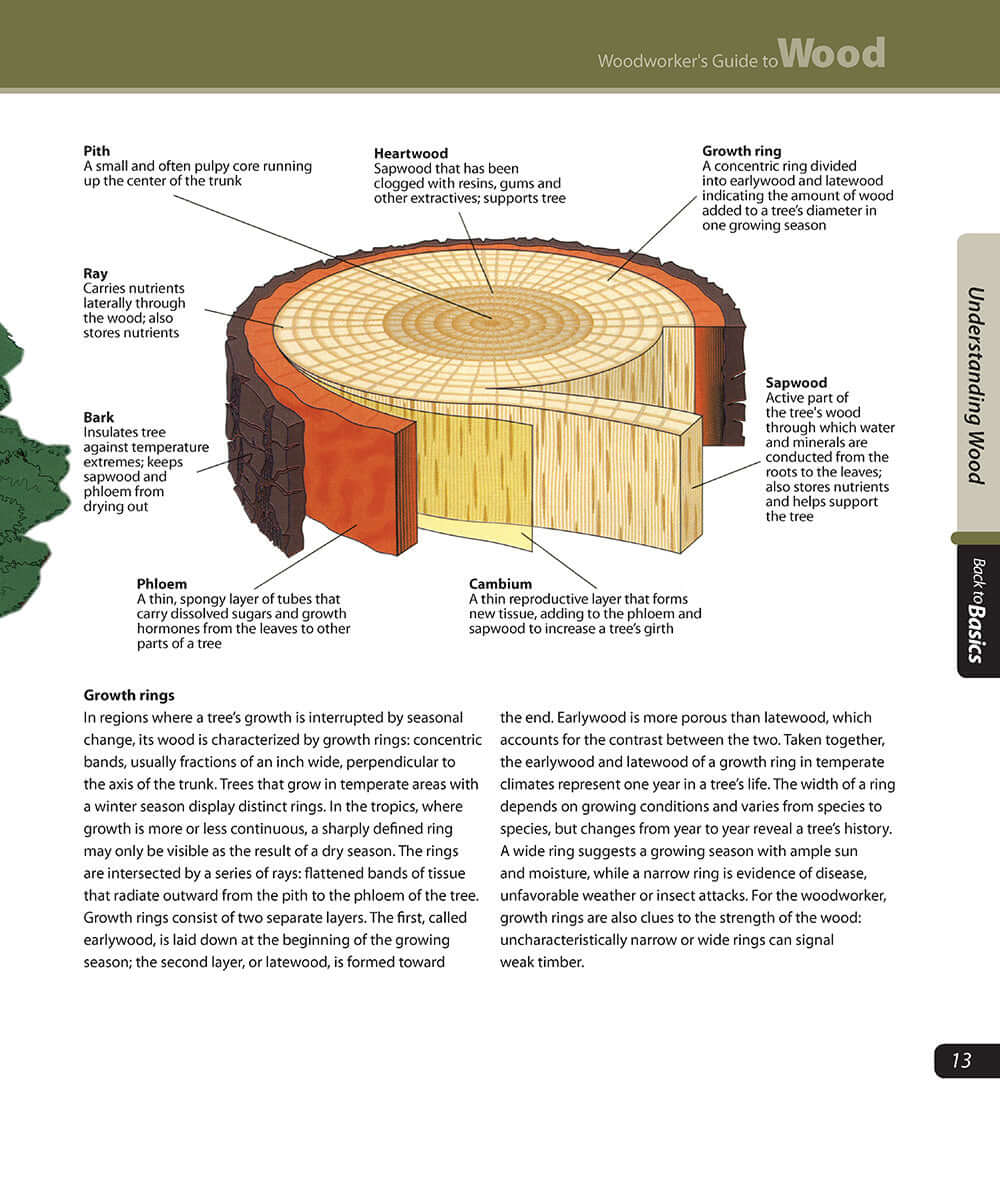 Woodworker's Guide to Wood (Back to Basics) - Image 2