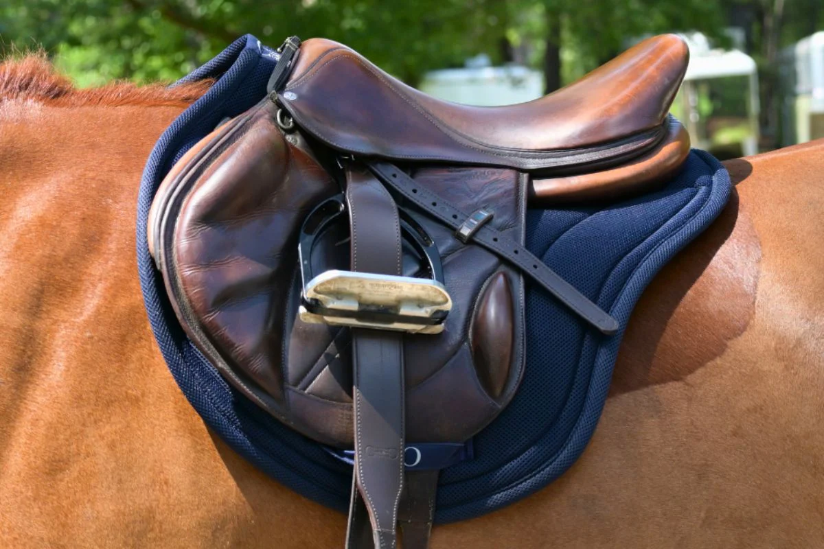 XC Mesh Saddle Pad with Quick Dry Cotton Lining in Navy, White or Black - Image 11