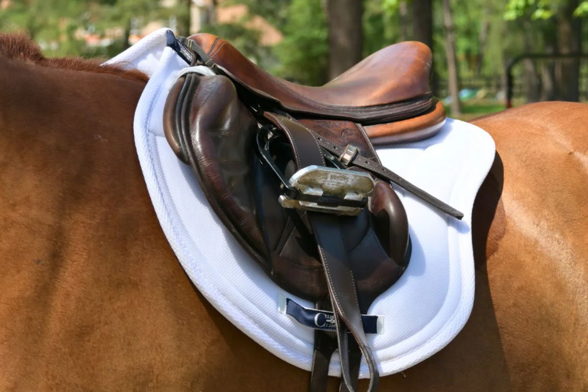 XC Mesh Saddle Pad with Quick Dry Cotton Lining in Navy, White or Black - Image 3