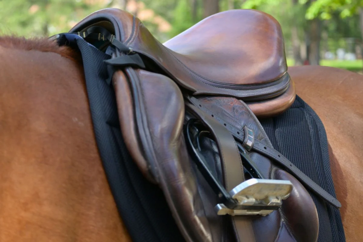 XC Mesh Saddle Pad with Quick Dry Cotton Lining in Navy, White or Black - Image 7
