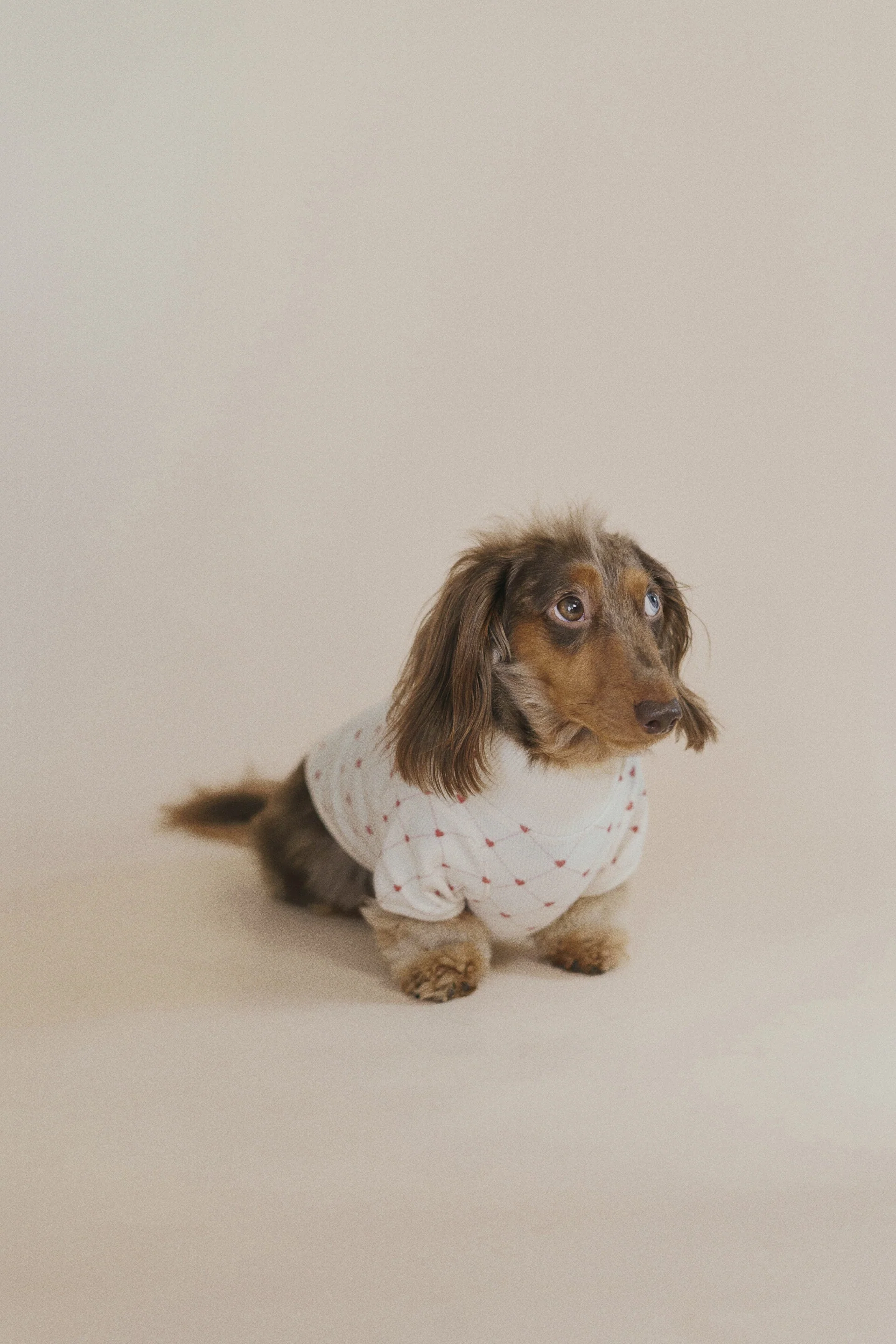 Xoxo sweater - Image 5