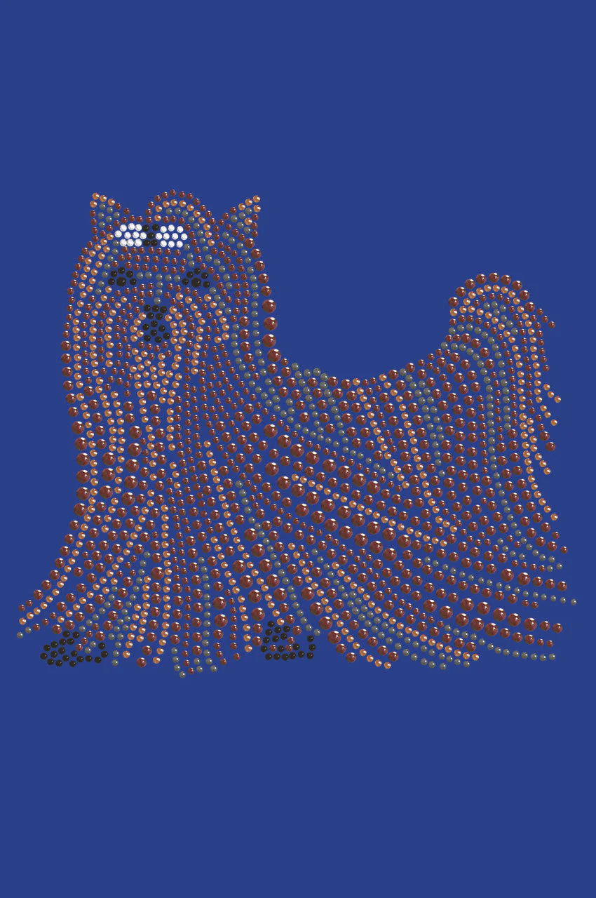 Yorkie - bandana - Image 18