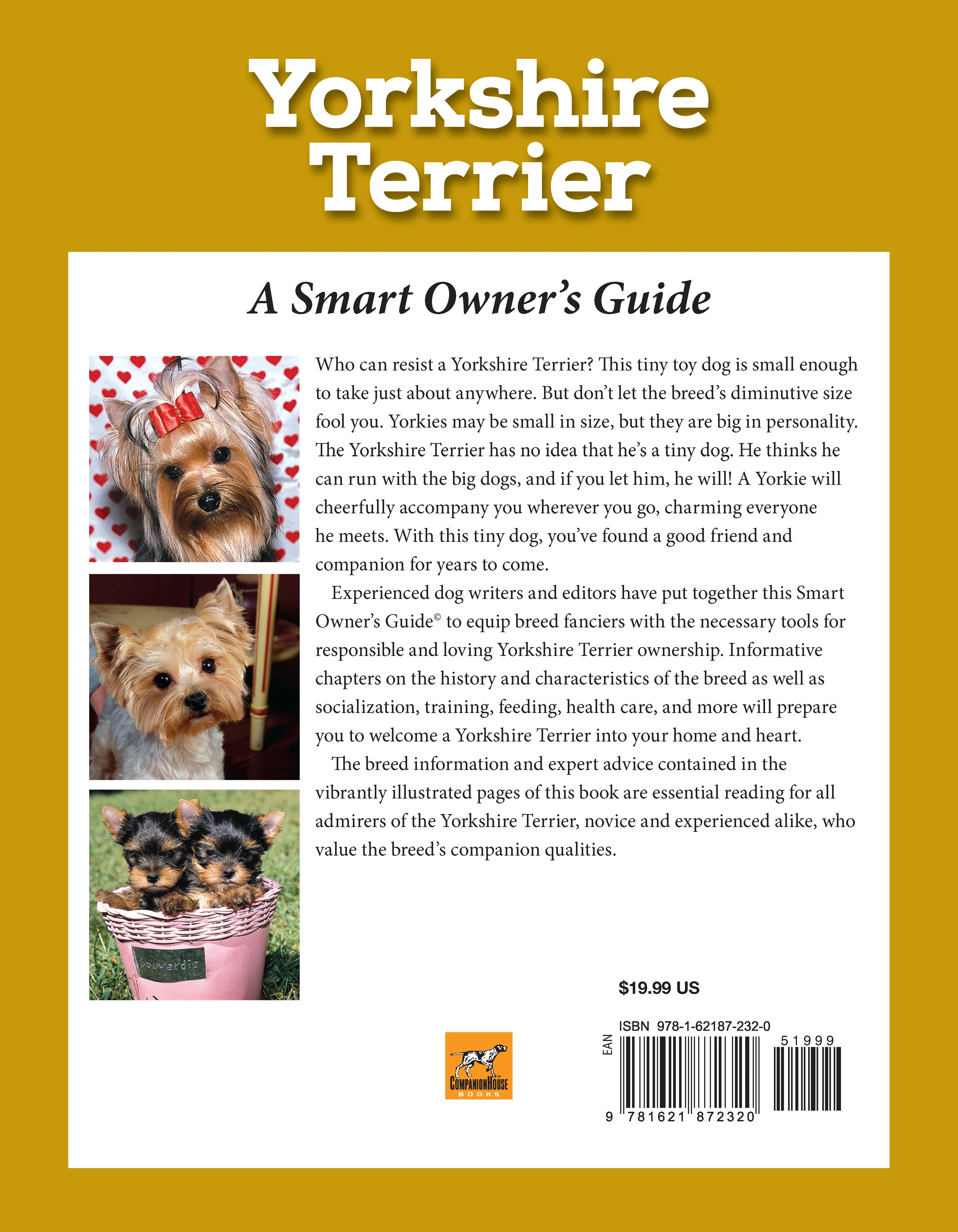 Yorkshire Terrier - Image 7