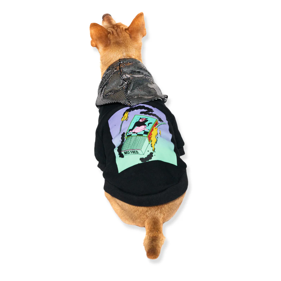 Ziggy Hoodie - Image 4