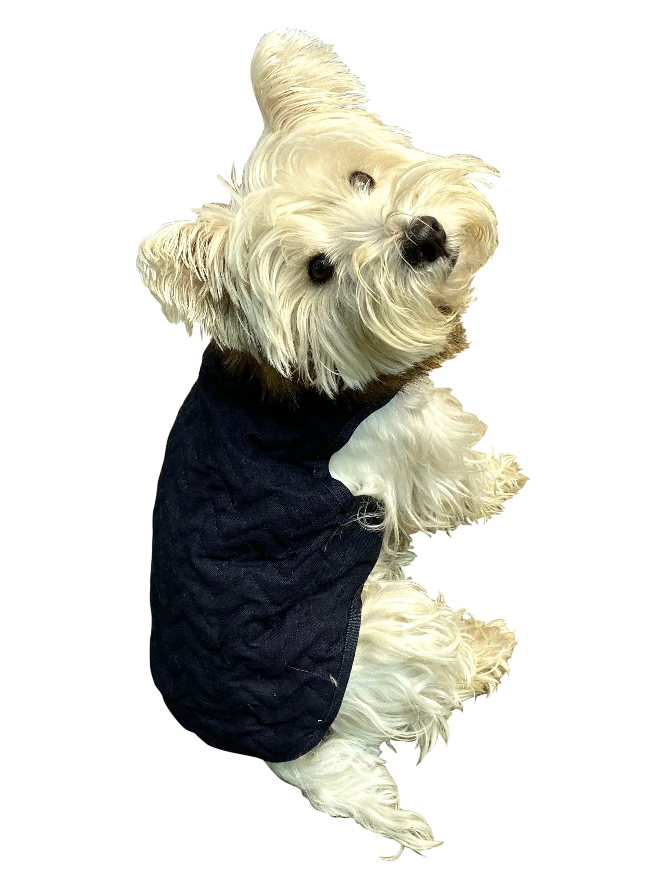 Ziggy Quilted Denim Dog Coat - Image 2